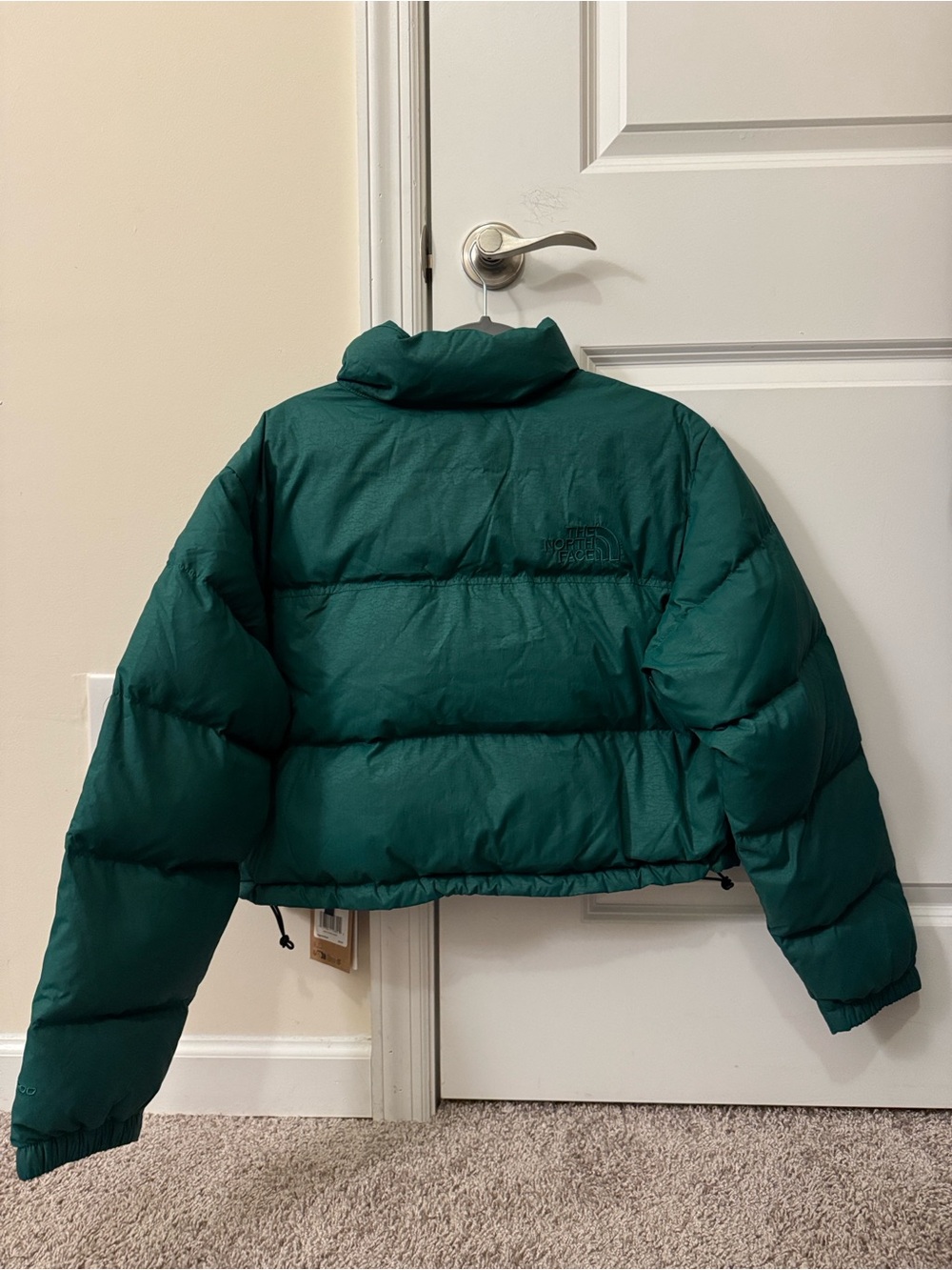 NWT The North Face Evergreen Nuptse Short DTM Jacket- Women's Size Large - Picture 11 of 11